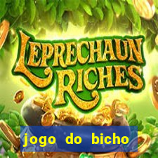 jogo do bicho tipos de apostas